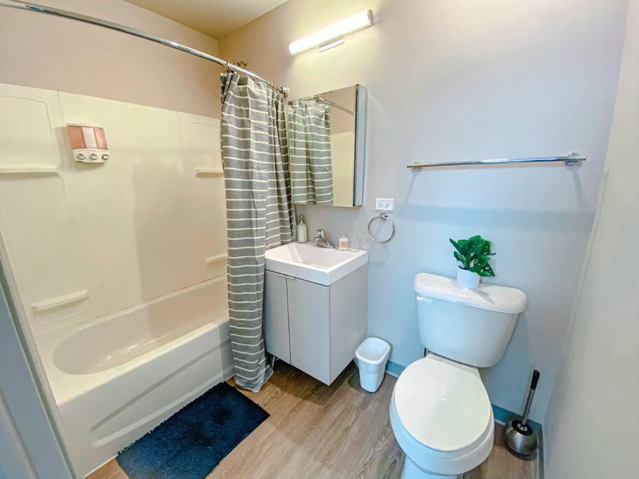 Modern 2Br In South Loop Near Soldier Field, Grant Park, Downtown, & Lakefront Trail Chicago Eksteriør bilde